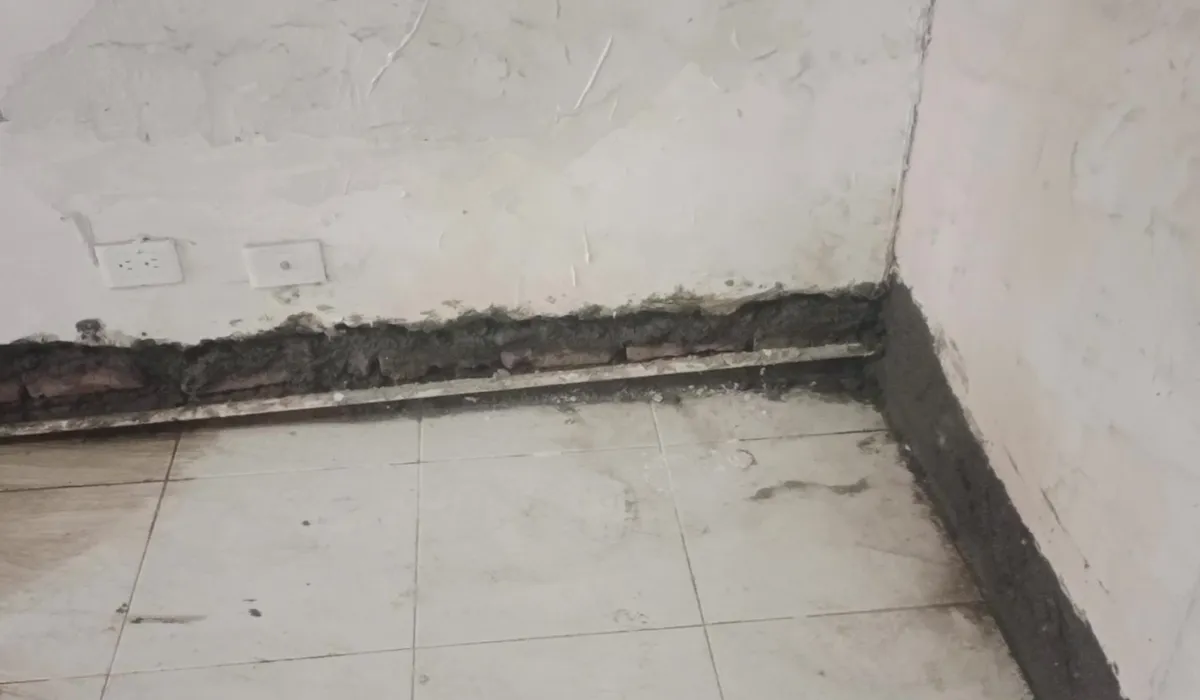 Trabajo 5